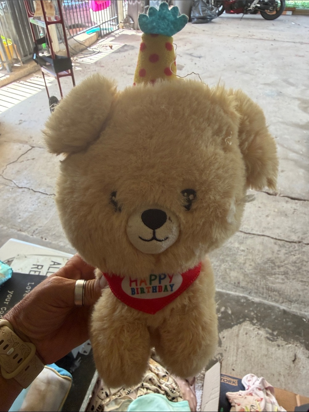 Plush Happy Birthday Dog Toy - Tan